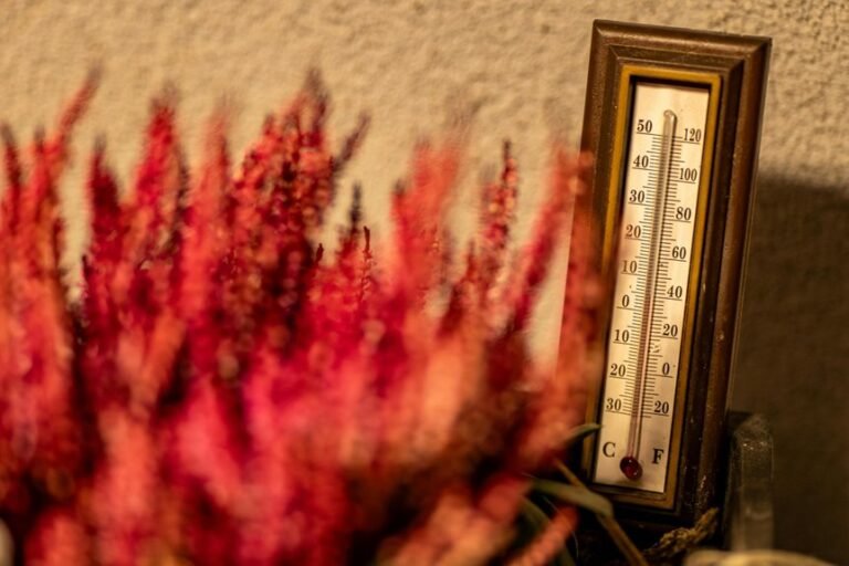 color temperature comparison guide