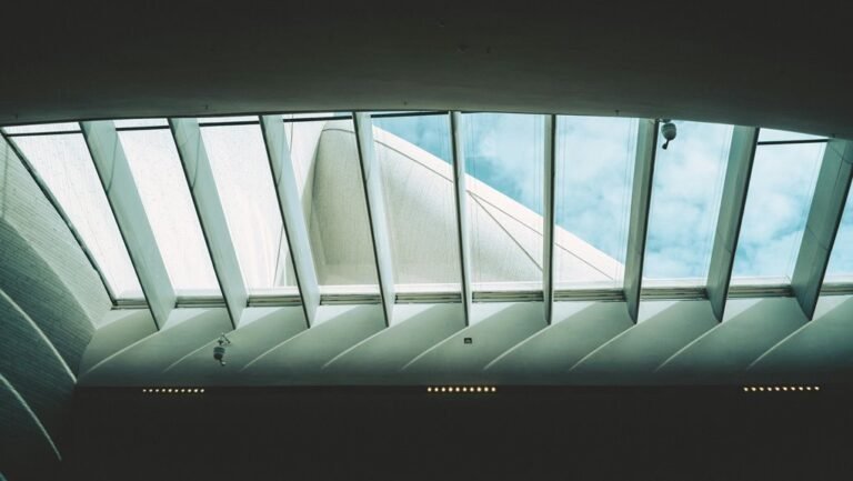 flat roof skylight options selection