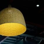 lighting fixture types function